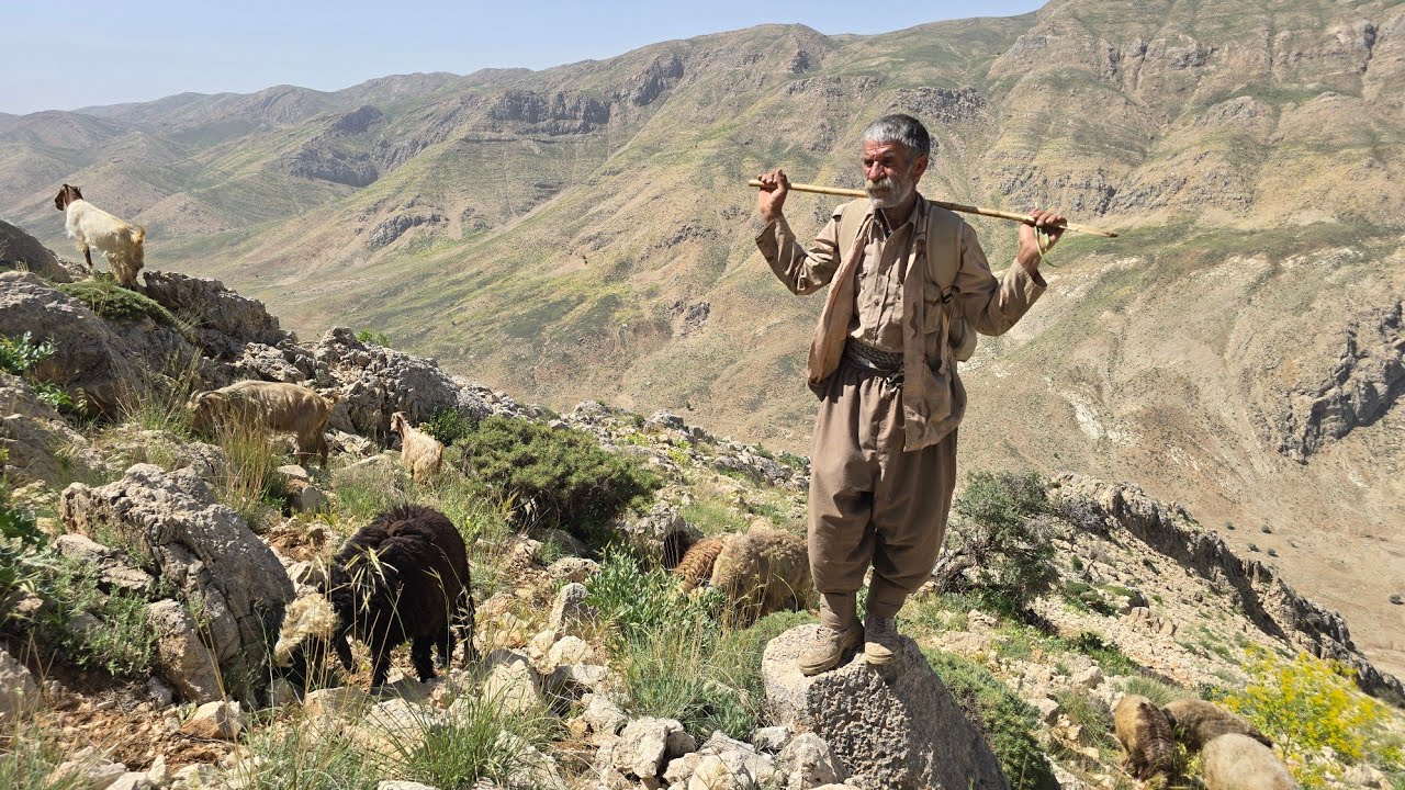 Iran Nomadic Life: Traversing Difficult Paths to Graze Sheep in the Mountains of Iran