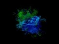 Jetski 2.0 (prod. by A-K65 Beatz)