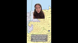 Louisiana's new congressional map proposal explained