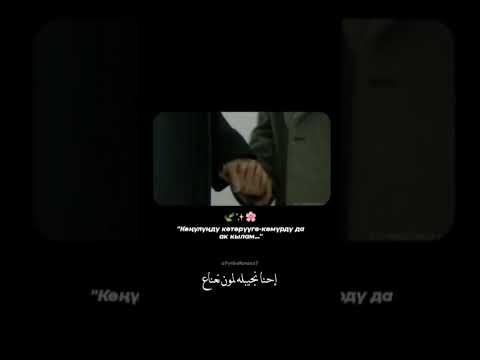 حالات واتس حماقي Mohammad Hamaki لمون نعناع لو هو راح