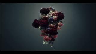 [Yorushika] Algernon (Subtitle Indonesia)