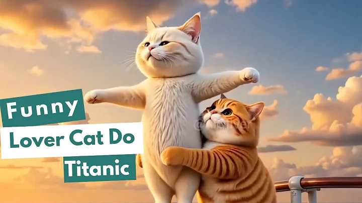 Watch the video about Funniest Cat Couple Vacation Ever! || Cute cat videos