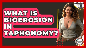 What Is Bioerosion In Taphonomy? - Anthropology Insights