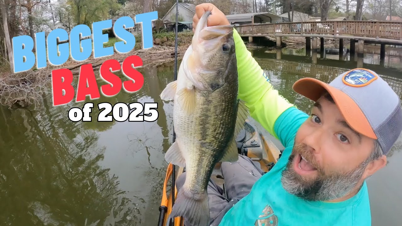 Biggest Bass of 2025 Kayak Fishing Compilation – Public Water Only – All Lunkers over 6lbs!