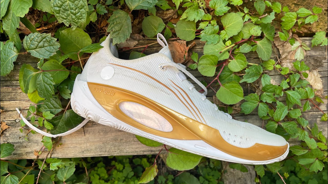 Li Ning Wade 808 2 Dynasty Li-Ning Wade 808 2 Dynasty - ABPS037-2 Raffles & Where to Buy main image 2