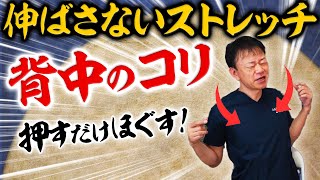 【背中ストレッチ】ガチガチ背中をほぐす！「胸椎多裂筋リリース」【体が硬い人向け】