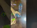 تجربة ل درس عرس قانا الجليل مدارس الأحد