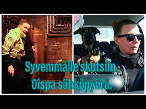 Video: Meikki uudenvuoden 2021 ruskeille silmille