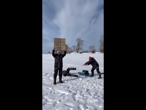 Подвинь Салазки я