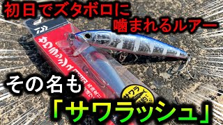 【新作】サワラが大量に釣れそうな名前のルアーを投げたら早速大人気だった。