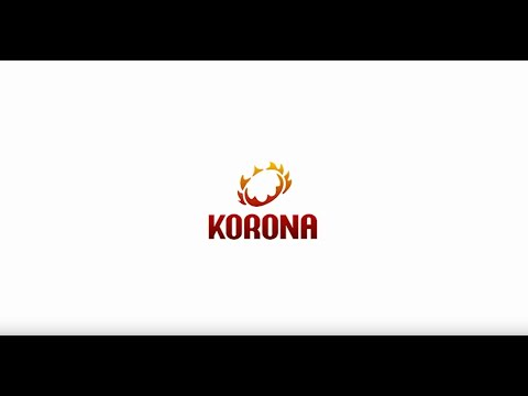 KORONA's Multi-Store POS System