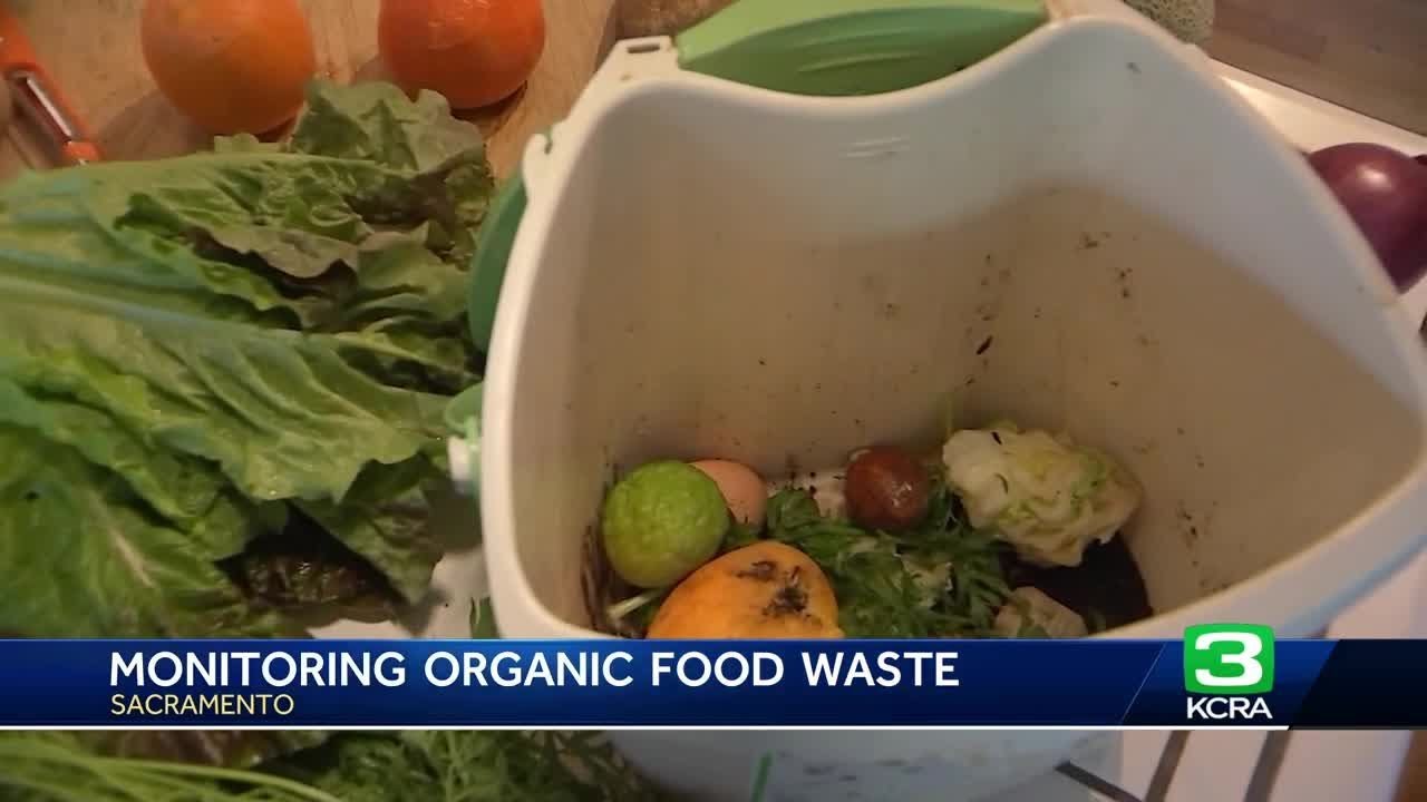 Sacramento plans to evaluate organic food waste program YouTube