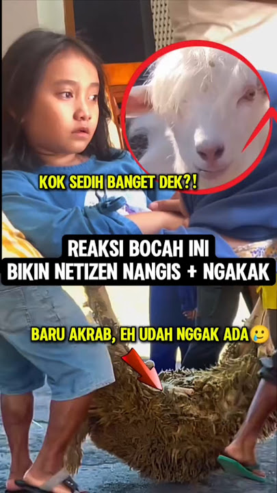 Lucu tapi sedih‼️B0cah ini nangis karena qurban idul adha🤣 #qurban #iduladha2025 #muslimpulsee