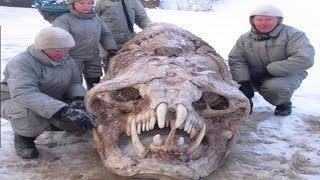 What Just Emerged in Canada TERRIFIES the Whole World!
