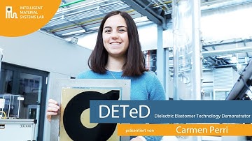 DETeD - Dielectric Elastomer Technology Demonstrator