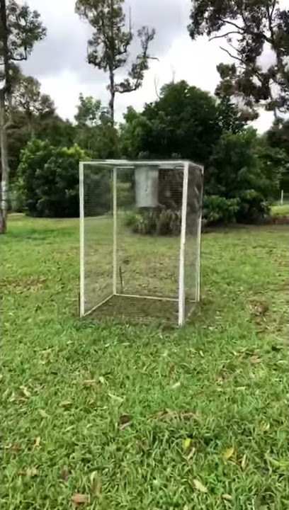 siapa ada kebun,boleh cuba cara ini!!!perangkap monyet