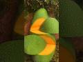 Enjoy Beautiful Super New Mango🥭