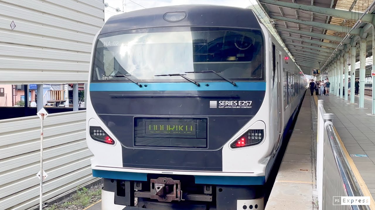 【特急  踊り子】E257系  快適すぎるリニューアル車両に乗って  伊豆急下田→東京