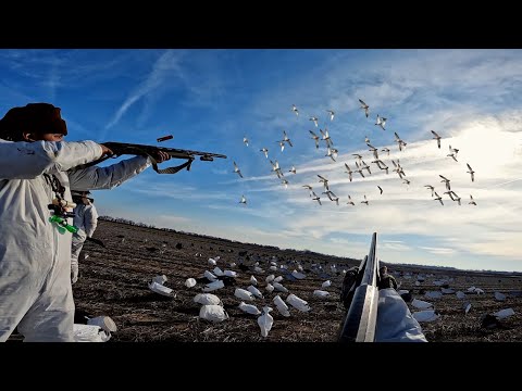 Video: Los mejores lugares para cazar patos en Arkansas
