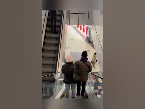 ДАФИ Героев Труда Полное видео на канале - YouTube
