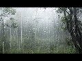 Best Rain Sounds for Insomniacs Sleep Within 5 Minutes White Noise Lullaby ASMR