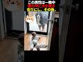 この男性は一晩中雪の中に犬を置き去りにし、その後...