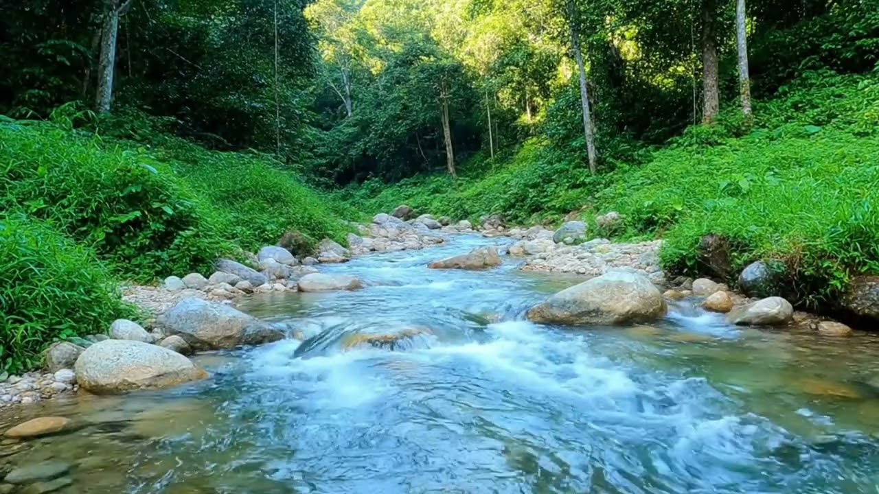 Nature River Harmony – Sleep Aid and Meditation