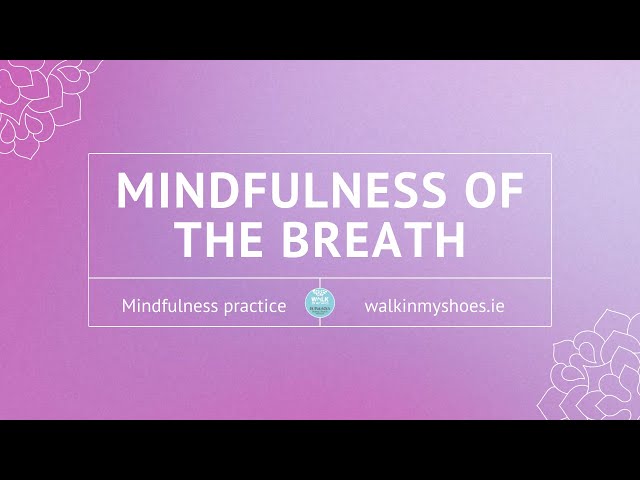 Burne's Style Mindfulness Workout シューズ M Burne's Style Mindfulness Workout シューズ M Amazon.com : 40