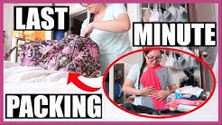 Last Minute Packing Before Movers! | September 5, 2018