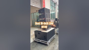 Dual 10” Line Array,Active Design,Professional Power#audioequipment #oemsupplier ##soundsystem
