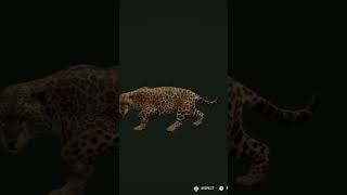 this trophy is absolutely insane #thehuntercallofthewild #hunting #cotwgameplay