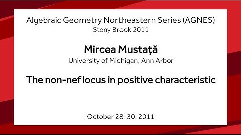 The non-nef locus in positive characteristic - Mircea Mustaţă