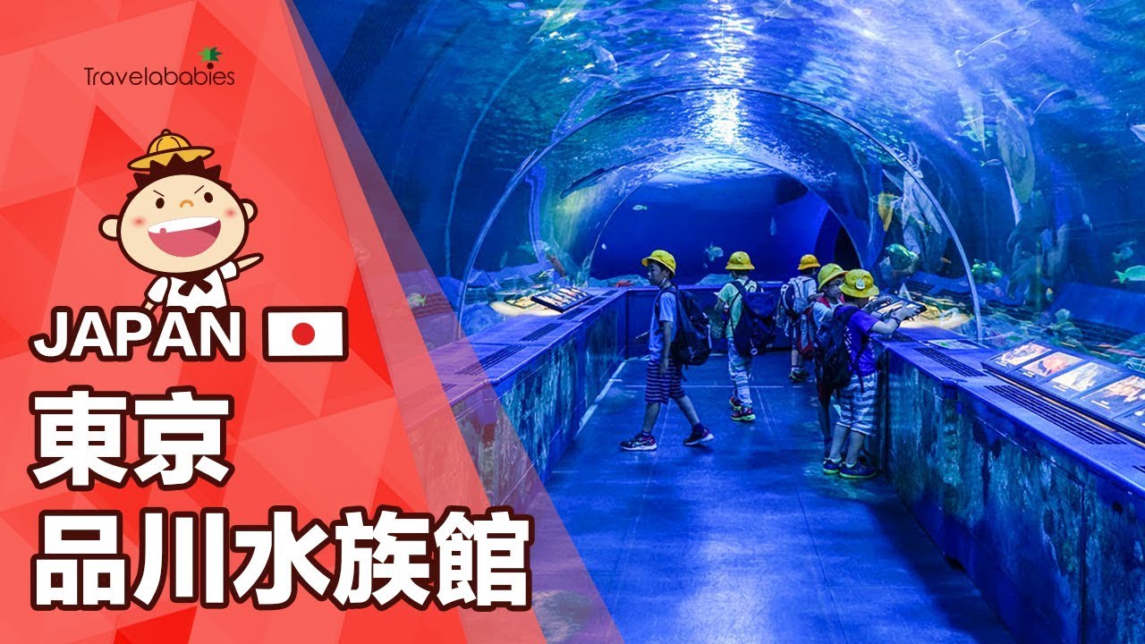 京都水族館 Travelababies 親子旅遊資訊平台
