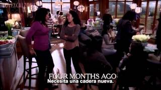 Callie y arizona - 10x09 parte 1