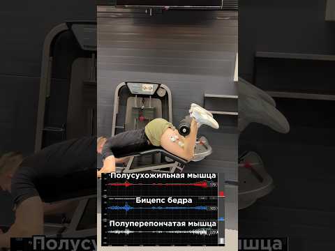 Бицепс бедра и миограф💪🏼За персональным планом обращаться в телеграм:@TrainerSmirnoVV