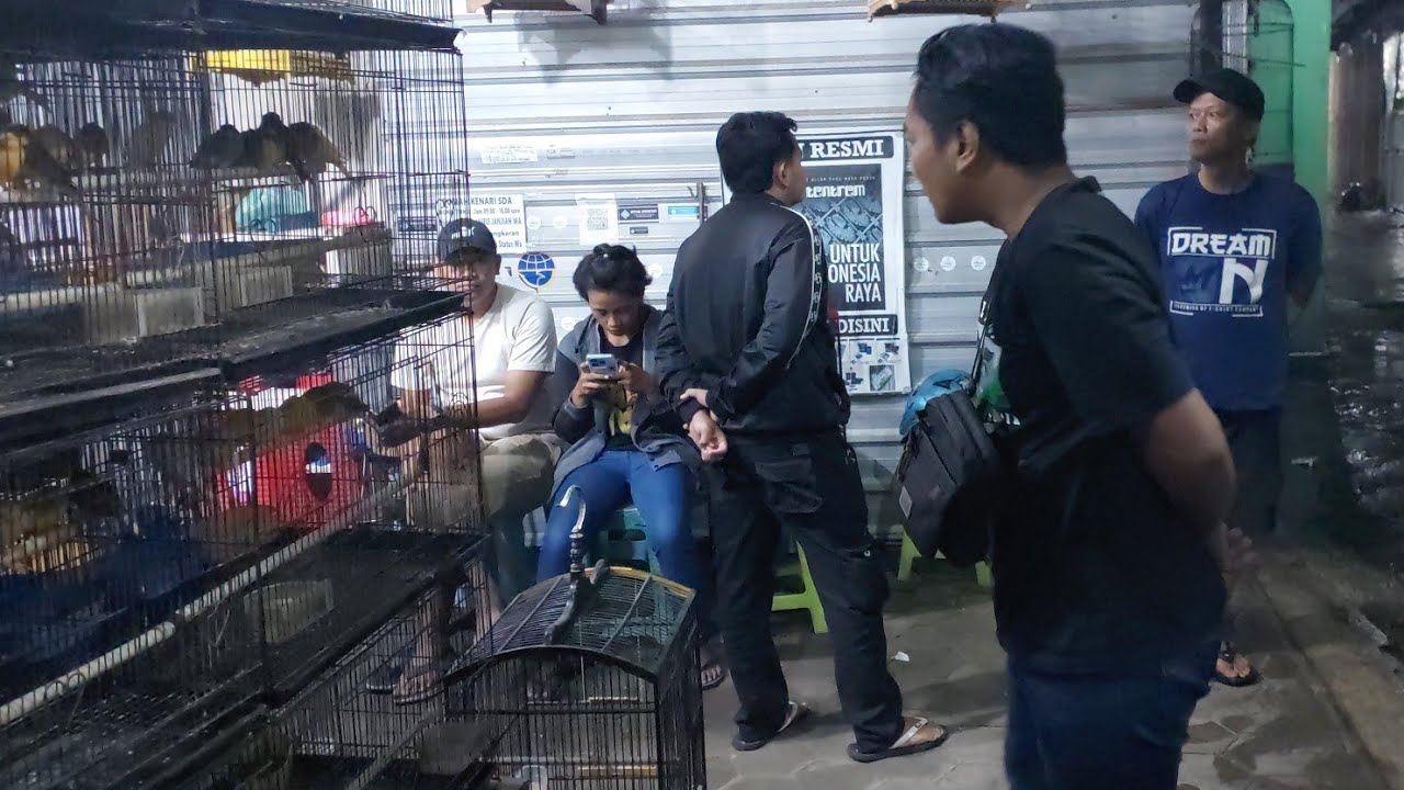 UNBOXING RATUSAN EKOR LOKAL - YS,RASMI,BB 22 februari 2026