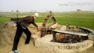 An eye on historical persian wheel