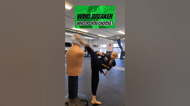 Who do you choose? Anime: Wind Breaker #anime #windbreaker #taekwondo #martialarts #karate #shorts