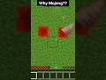 Why Mojang?😭🥺#minecraf #Logic #shorts @SenpaiSpider @UjjwalGamer @minecraft