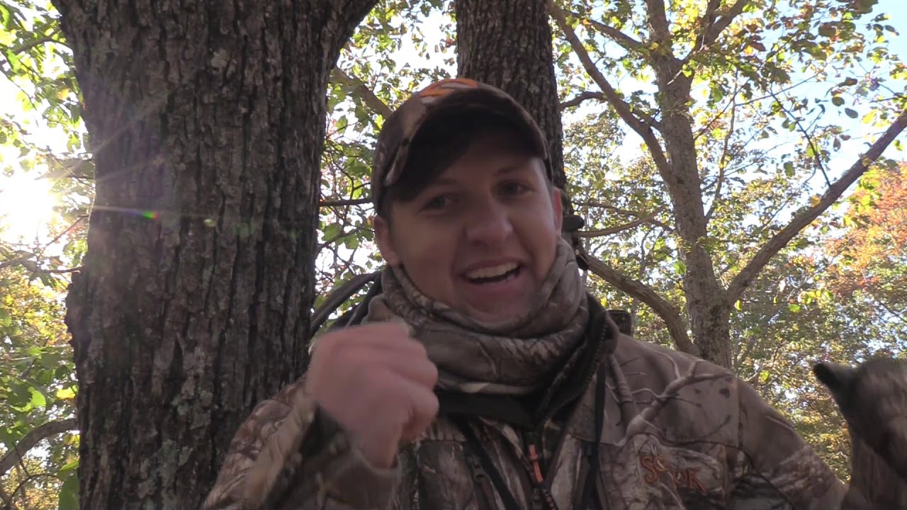 KY Public Land Whitetail Buck Bow Kill YouTube