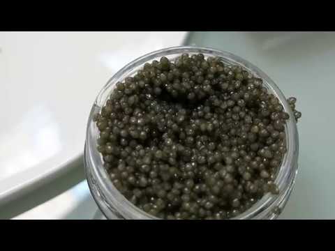 Сколько икринок в банке черной икры ?