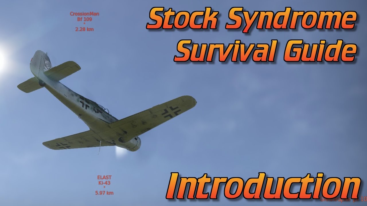 WT Introducing my Stock Syndrome Survival Guides YouTube