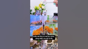 Chiếc ống đơn giản nhưng cực kỳ hữu ích giúp tiết kiệm thức ăn cho cá #aquarium #youtubeshorts