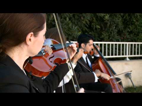 shotgun-wedding---trailer