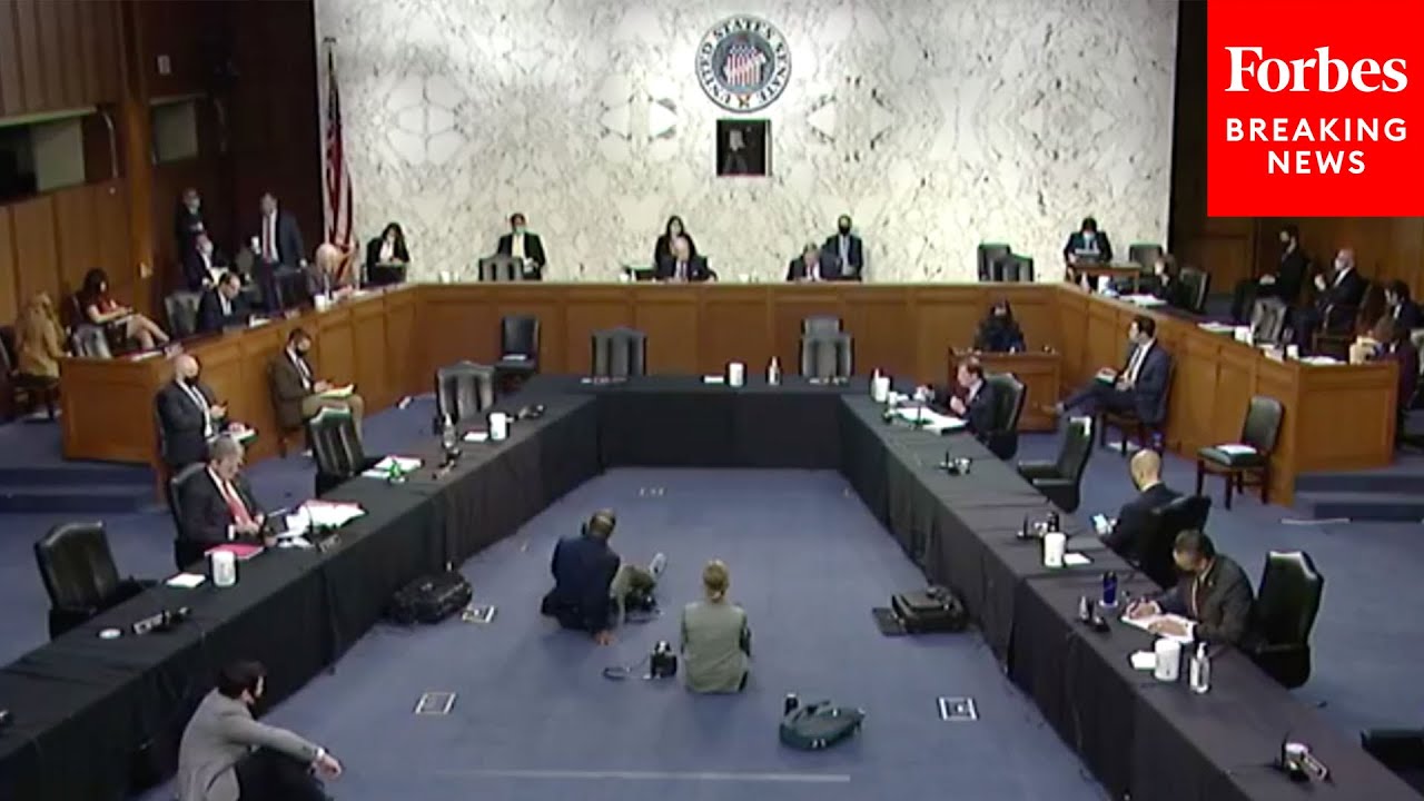 Senate Judiciary Committee holds hearing on gun control in wake of