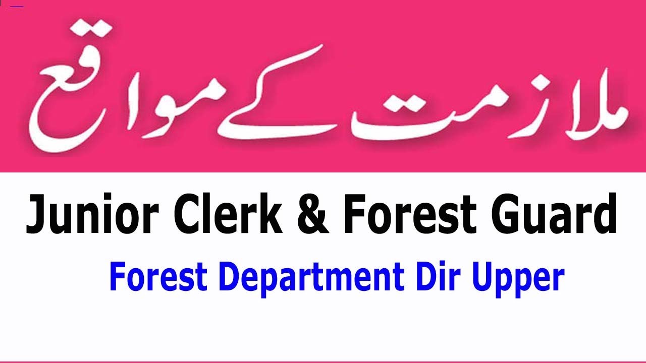 Junior Clerk and Forest Guard Jobs. opportunities.