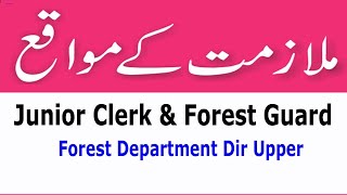 Junior Clerk and Forest Guard Jobs. opportunities.