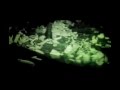 The Descent 2005 Jump Scare Night Vision Scene 