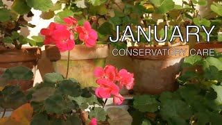 Conservatory & Greenhouse Jobs in January