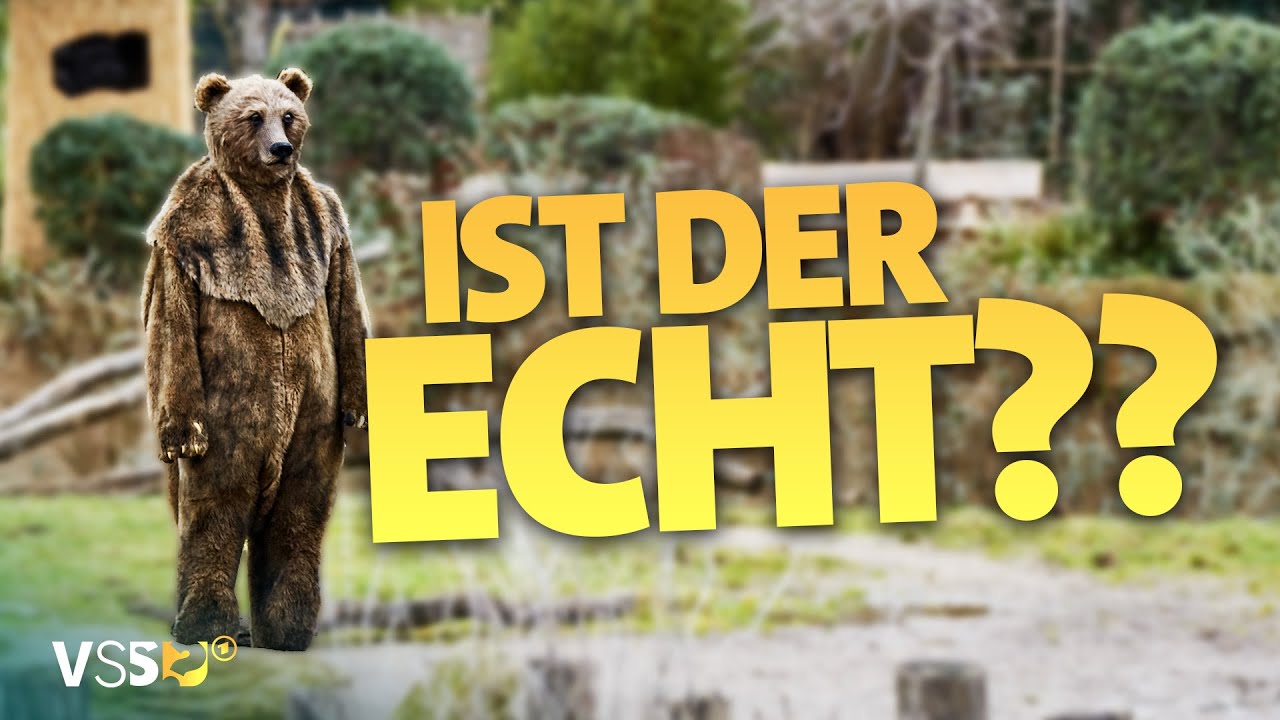 Halb Mensch, halb Bär - Unglaubliche Szenen aus dem Krefelder Zoo | Verstehen Sie Spaß?